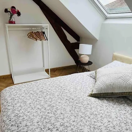 Apartment Elegant T4 Centre Reims/parking Prive *