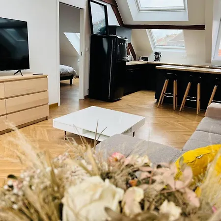 Appartement Elegant T4 Centre Reims/parking Prive *