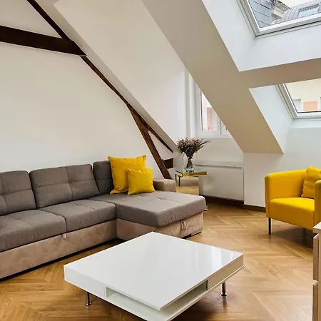 Elegant T4 Centre Reims/parking Prive Reims