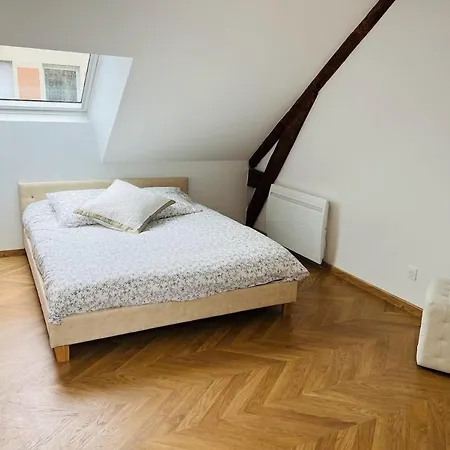 Elegant T4 Centre Reims/parking Prive Reims