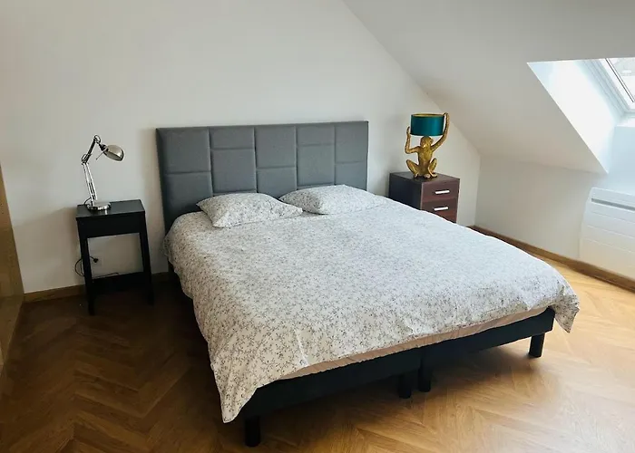 Appartement Elegant T4 Centre Reims/parking Prive Reims
