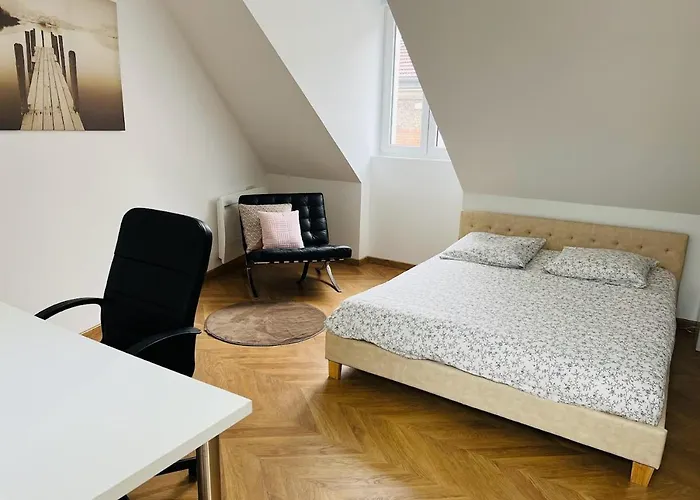 Elegant T4 Centre Reims/parking Prive